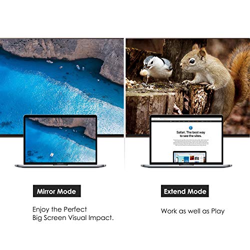 Image of USB C to HDMI + VGA, CableCreation [2-Pack] Type C (Thunderbolt 3 Compatible) to HDMI 4K + VGA Adapter, Compatible with MacBook Pro 2016 /2017 /2018,MacBook Air /iPad Pro 2018 /XPS 13 /Yoga 910,White