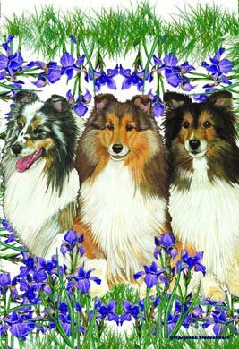 Best of Breed Shelties - Pipsqueak Productions Large Flag