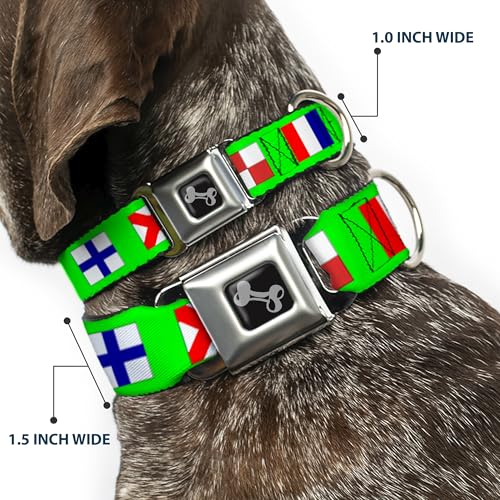 Collier de chien Buckle Down vert style nautique pour balades en mer - 3