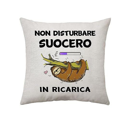 Aconesong Regali per Suocero Divertente Cuscino Copertura per Suocero Compleanno Natale Festa del Papa Anniversario Matrimonio Idee Regali per Lui Suocero Regali 45 x 45 cm (Suocero)