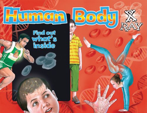 JG Kids Human Body X-Ray: Find out what's inside