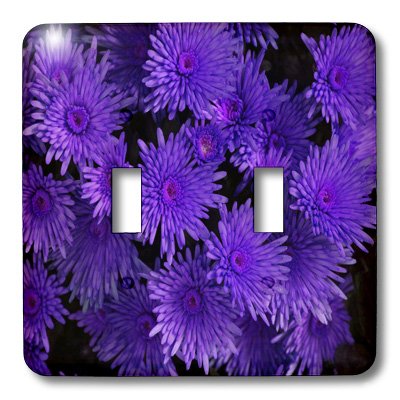 Rénover vos interrupteurs avec la plaque double fleurie violette 3dRose - 3