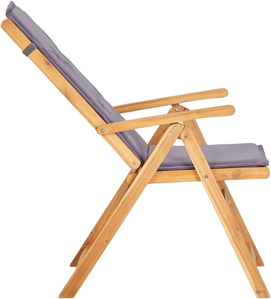 vidaXL Garden Chair Set of 2 Dark Grey