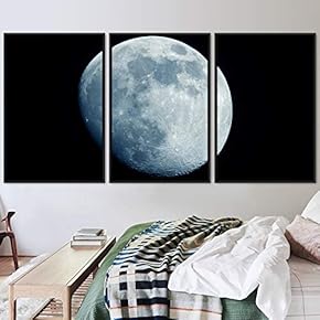signwin 3 Piece Framed Canvas Wall Art Lunar...