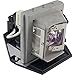 P Premium Power Products SCP740LK-ER Compatible Projector Lamp