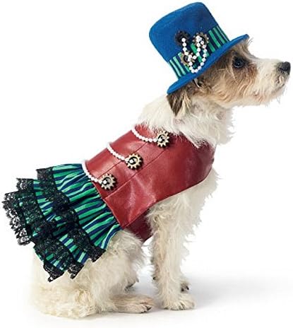 steampunk dog outfits