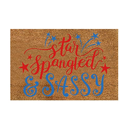 Kanoyavv Patriotic Birthday Decor Independence Day Decorative Door Mat Bathroom Welcome Mat Door Mat Floor Mat New Blanket Warm Plush Blanket Usa 4Th Of July Yard Signs Memorial Day Decor For Office #TOP20