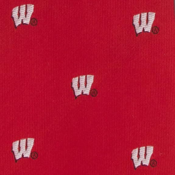 Eagles Wings Wisconsin Ties Badgers Mens College Neckties - Image 3