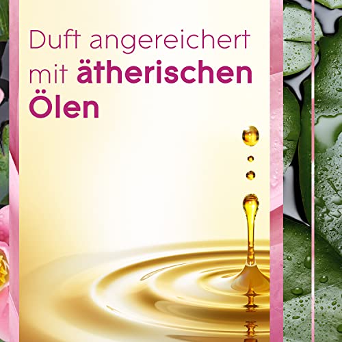 Glade (Brise) Sense und Spray Nachfüller (für Glade Lufterfrischer Gerät), Relaxing Zen 3x18 ml 4