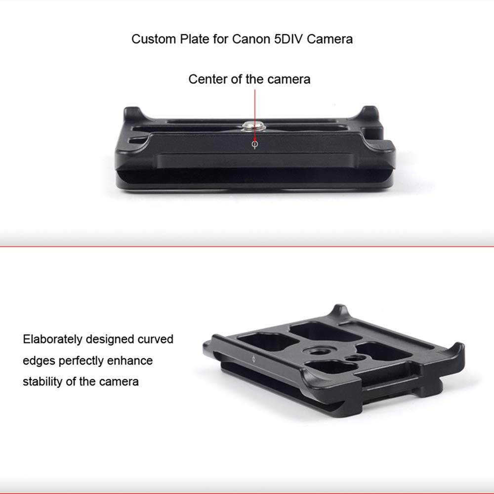 SUNWAYFOTO Special Parts - Zapata rápida de 1/4 Pulgadas para Canon 5D Mark IV