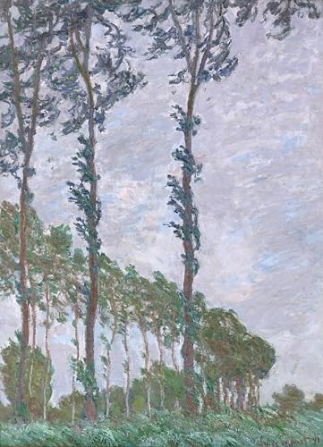 Cuadro en lienzo de Claude Monet PMEFGJDPE 60x90cm, decoración artística efecto viento