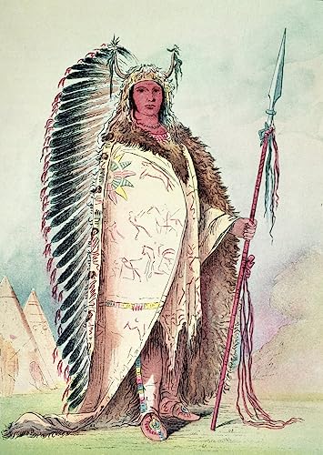 Toile Murale Chef Sioux : Sublimer un Salon Vide avec George Catlin