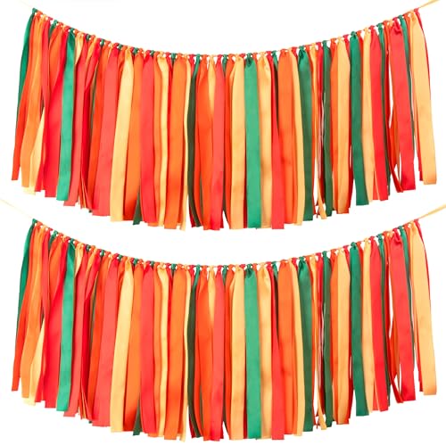 2 Packs Ribbon Tassel Garland, Pre-Strung 40 inch Handmade Colorful