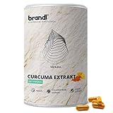 Curcuma-Kapseln mit Curcumin aus Vollspektrum Kurkuma-Extrakt plus Piperin für Bioverfügbarkeit | Kurkuma-Kapseln mit wissenschaftlicher Dosierung für aktive Menschen | XL 120 Stk.