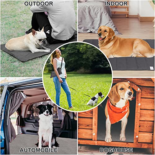 PokeAir Hundedecke Outdoor Wasserdicht Waschbar Haustier Decke für Unterwegs Camping Hund Katze Mat Wärmende Decke mit Tasche Hundebett Hundematte Große Reisedecke 100x70cm mit Tierhaarentferner