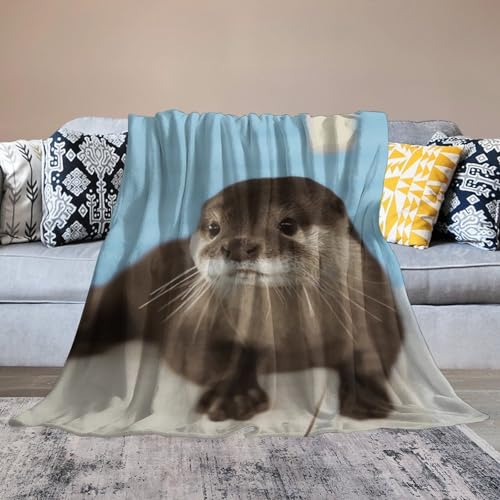 Couverture polaire douce plaid flanelle loutre pour lit toutes saisons