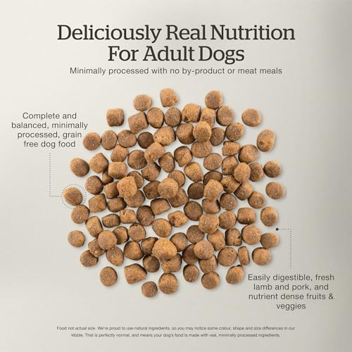Image of Now Fresh Grain-Free Premium Dry Dog Food with Lamb & Pork, Healthy Kibble for Adults Made with Real Red Meat, Chicken-Free Recipe, Enhanced with Pumpkin & Probiotics for Good Digestion, 22 lb Bag
