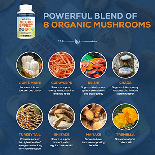 Paleovalley Essential C Complex And Neuroeffect Bundle - Vitamin C, Neuro Mushroom, Coffee Fruit, Organic Superfoods - Nutritional Supplements For Stress Relief, Focus, Memory, Energy, Immune Support #TOP5