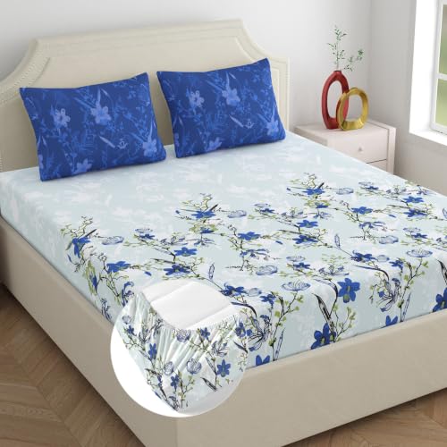 Image of Dreamscape 100% Cotton Queen Fitted Bedsheet with 2 Pillow Covers - (Size 60 x 78 inches, 140 TC, Colour - Blue)