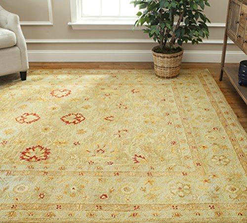 Safavieh Antiquity 9x12 Wool Oriental Rug