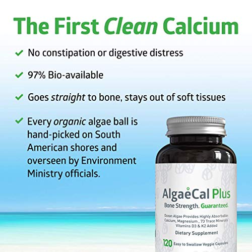 AlgaeCal Plus – Plant-Based Calcium Supplement with Magnesium, Boron, Vitamin K2 + D3 | Increase Bone Strength | All Natural Ingredients | Highly Absorbable | 120 Veggie Capsules per Bottle (6 Pack)
