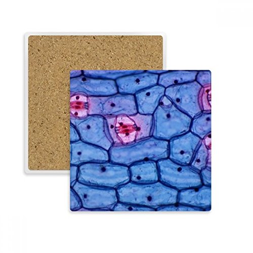 Dessous de verre bioplastique microcosmique finitions de qualité - 2