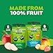GoGo squeeZ Applesauce and Fruit Puree Variety Pack, Apple & Gimme Five!, 3.2 oz (Pack of 12), Unsweetened Fruit Snacks for Kids, Gluten Free, Nut Free, BPA Free Pouches (Packaging May Vary)