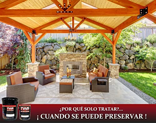 TWP/Gemini TWP101-1G TWP Total Wood Preservative, Cedar ~ One Gallon by TWP - Total Wood Preservative