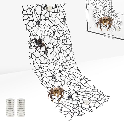 Niuohoy 6 Pack Tarantula Enclosure Accessories Jumping Spider Habitat Accessories with 16pcs Magnets Spider Terrarium Decoration Praying Mantis Habitat Jumping Spider Climbing Mesh (Black)