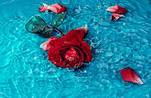 Fireteas - Royal Rose Bath Salts With Saffron - Dead Sea Salt, Himalayan Salt, Saffron Threads, Rose Petals & Sweet Orange Essential Oil. Bath Of The Royalty & Great Fragrances & Relaxing Effects. #TOP5