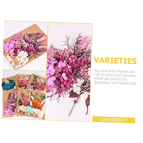 Kit de flores secas para manualidades y decoración miniatura 6