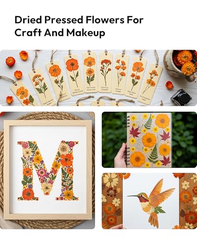 Image of Dried Flowers, Resiners 100Pcs Fall Pressed Flowers for Craft Real Natural Dried Flowers Dry Leaves Kit for DIY Making Crafts Resin Soap Candle Scrapbook Supplies Card Making Jewelry