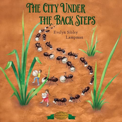 The City Under the Back Steps cover art