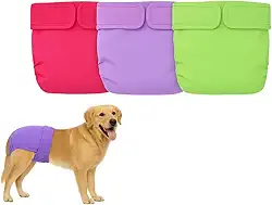 Kit 3 Fraldas Cachorro Fêmea Reutilizáveis Cor 1- Materiais Duráveis ​​Solução lavável na máquina para incontinência de animais de estimação e viagens longas Petting Is Caring (P)