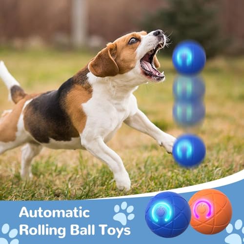 Catnat Interaktives Hundespielzeug Ball, 2026 Neu Scrollen Hundespielzeug Intelligenz Hundeball, Elektrisch Hunde Spielzeug Interaktives Spielzeug für Katzen Hunde (Blau)