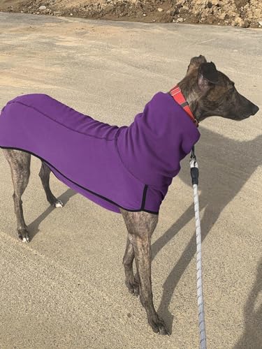 Imily Bela Hundepullover Fleece Rollkragen Hundemantel Warmer Weste Pullover Outdoor Hundejacke Winterkleidung für Kleine Mittel Große Hunde,Lila,M