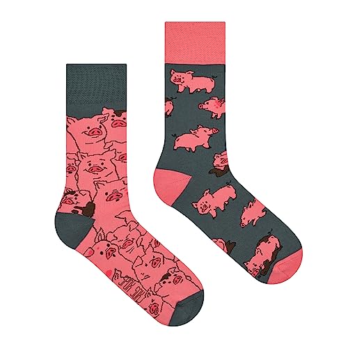 Spox Sox - calcetines coloridos, divertidos y extravagantes - un regalo divertido, 40-43, Piglet