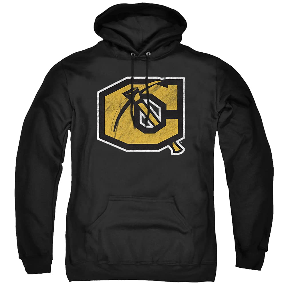 LOGOVISION Official Collegiate Distressed Primary Logo Adult Pullover Hoodie Collection — view 227
