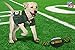 NFL GREEN BAY PACKERS Football Dog Toy, Tough Nylon Quality Materials with Strong Pull Ropes & inner SQUEAKER in NFL Team Color