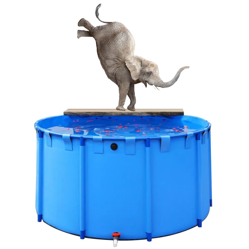 Generico Stagno per Carpe Koi Rotondo - Vasca per Pesci Portatile in Tela, Struttura in PVC Fuori Terra, Ideale per Esposizione acquatica, Uso temporaneo, 1x0,8 m (628 l) - Perfetto per Gli appassion