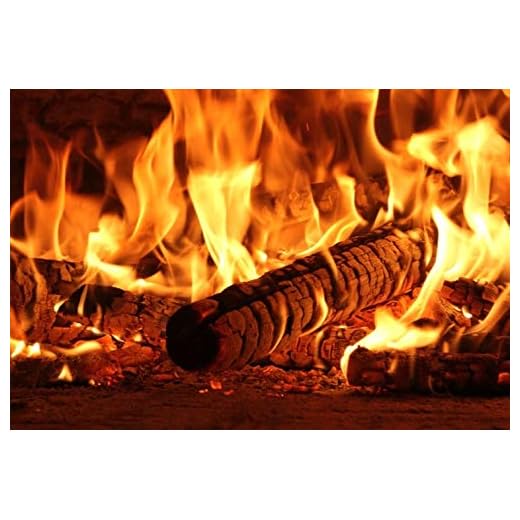 Tegelvägg eldstad trä eld brinnande flamma fotografi bakgrund bebis porträtt foto bakgrund foto studio fotokall A10 2,7 x 1,8 m
