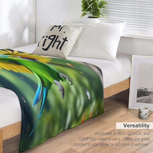 Plaid douillet canapé pour ne plus avoir froid, couverture flannel douce
