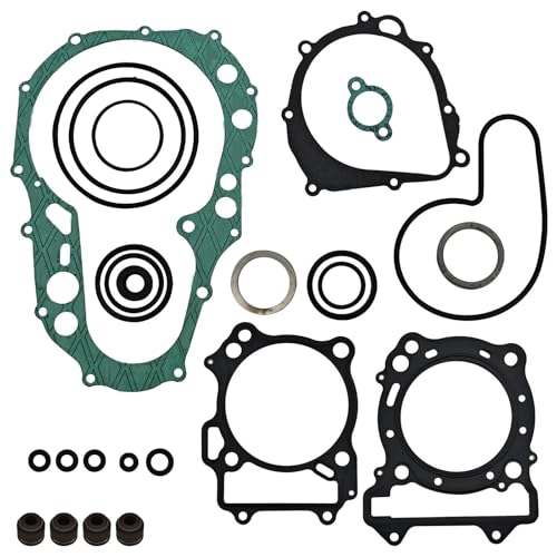 Kit complet de joints haut et bas haute résistance pour Arctic DVX 400 2004