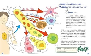 免疫学イラストマップ キ-ワ-ドで理解する  /羊土社/烏山一（単行本） キーワードで理解するシリーズ：キーワードで理解する 免疫学