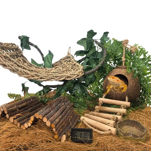 TEICCI Bearded Dragon Tank Accessories Set,10-Piece Kit Leopard Gecko Tank Accessories with Bearded Dragon Hammock, Large Reptile Bridge Hammock,Decor Suitable for Lizards, Geckos, and Chameleons