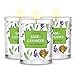 MAGNIFICENT 101 Pure Sage + Lavender Smudge Set of 3 Candles for House Energy Cleansing, Banish Negative Energy I Purification and Chakra Healing - Natural Soy Wax Candles for Aromatherapy