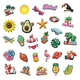 RowGlow Zapatos Charm Pins Adornos Para Croc Shoe Charm Accesorios Diy (Verano 29pcs)