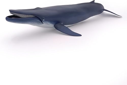 Miniatura 7 de Papo - Ballena Azul - Figura de animales marinos - 3+ - Pintado a mano - Juguete educativo duradero - 15.2 x 6.7 x 3.0 in - Juguete para niños -