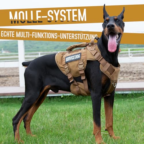 DNALLRINO Taktisches Hundegeschirr, Hebegeschirr für Mittelgroße Große Hunde, Air Mesh einstellbar Service Hundegeschirr mit 39g Metallschnalle für die Ausbildung Wandern