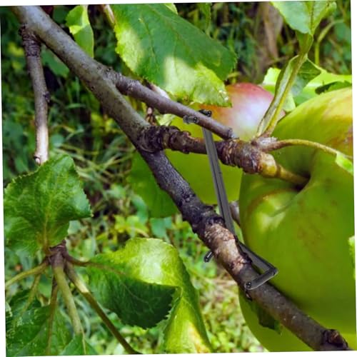 20 Separadores Ajustables para Ramas de Árboles Frutales miniatura 3